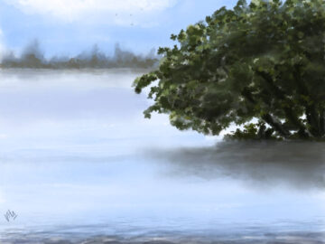 River backwater