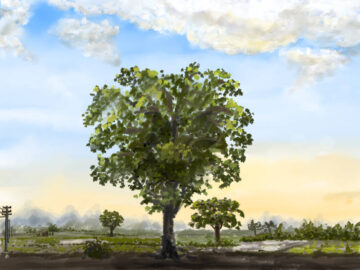 Tree in countryside