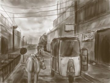 Study of perspectives