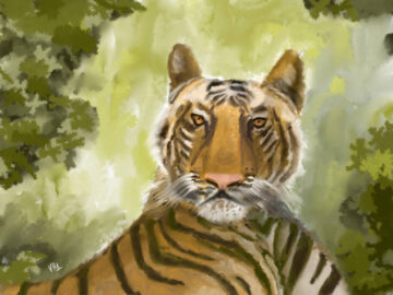 Portrait of a tiger