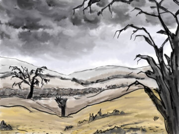Desolate landscape