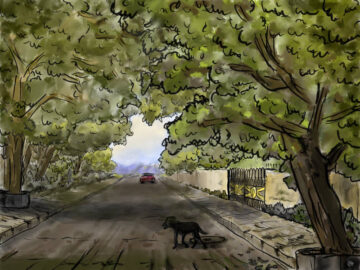 Avenue