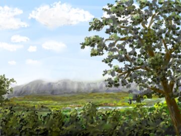 Untitled landscape