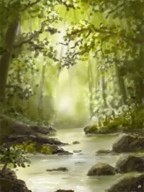Stream in the forest