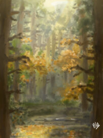 Moody forest