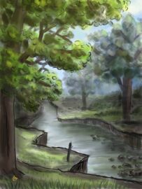 River through a forest