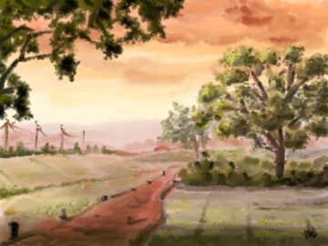 Golden hour fields