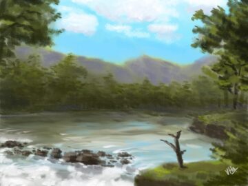 Flowing river in a forest