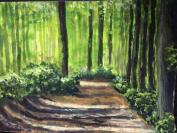 Forest path