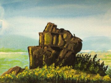 Hillside rocks