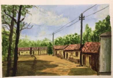 Village houses
