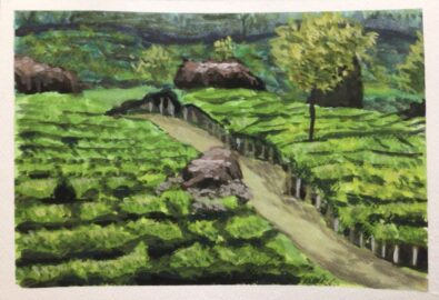 Tea estate