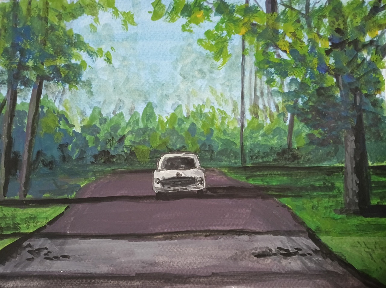 Remote forest road